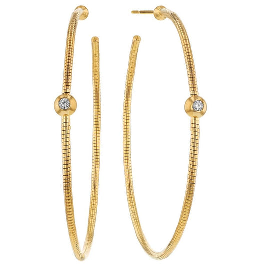Dna Spring Medium Hoops