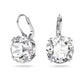 Millenia Clear Stone Drop Earrings