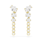 Mesmera Clear Stone Dangle Earrings