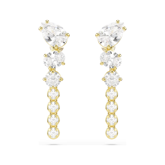 Mesmera Clear Stone Dangle Earrings