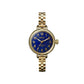 Shinola 34mm Birdy Watch