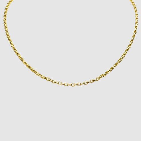 LOLA 16" 3mm Gold Tone Signature Rolo Chain