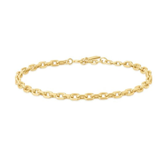 Gold Tone Medium Chain Bracelet