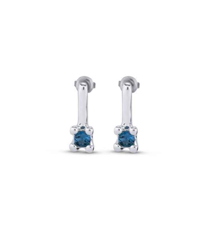 Earrings with Blue Stone