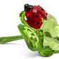 Swarovski Lady Budy & Clover