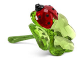 Swarovski Lady Budy & Clover