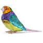 Swarovski Small Gouldian Finich - SCS