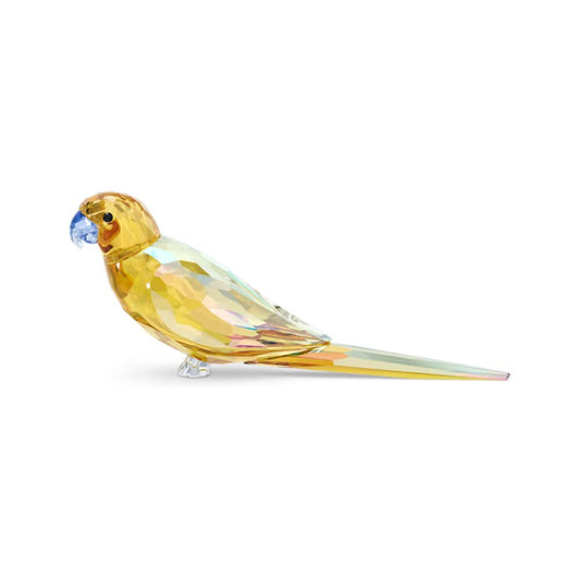 Swarovski Yellow Parakeet