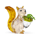Squirrel & Acorn