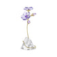 Florere Rozanne Purple Flower