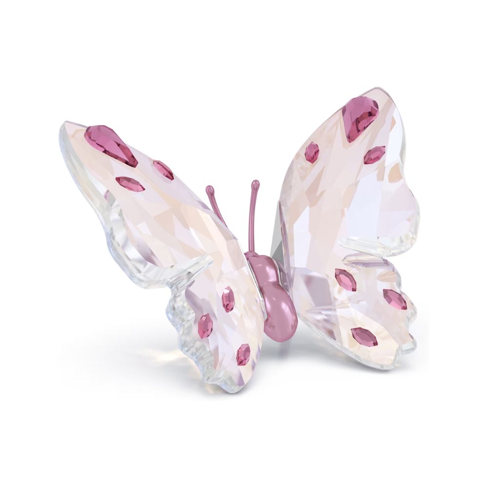 Pink Butterfly
