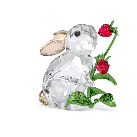 Rabbit & Raspberries