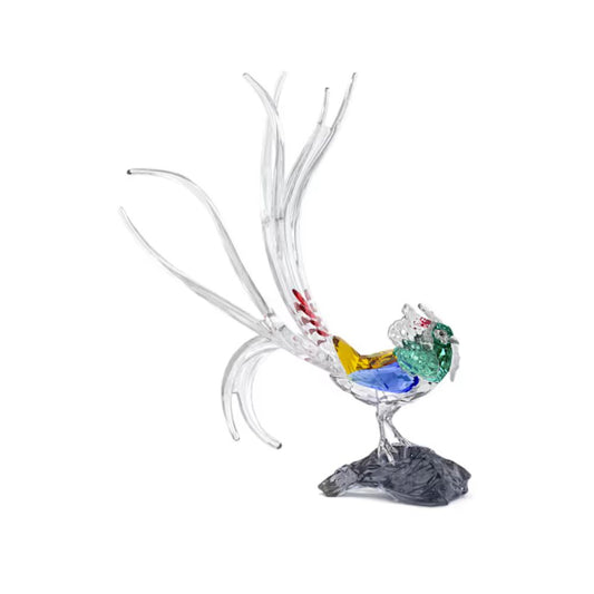 Swarovski 2026 SCS Lady Amhers