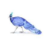 Swarovski 2026 SCS Pawawan Pea