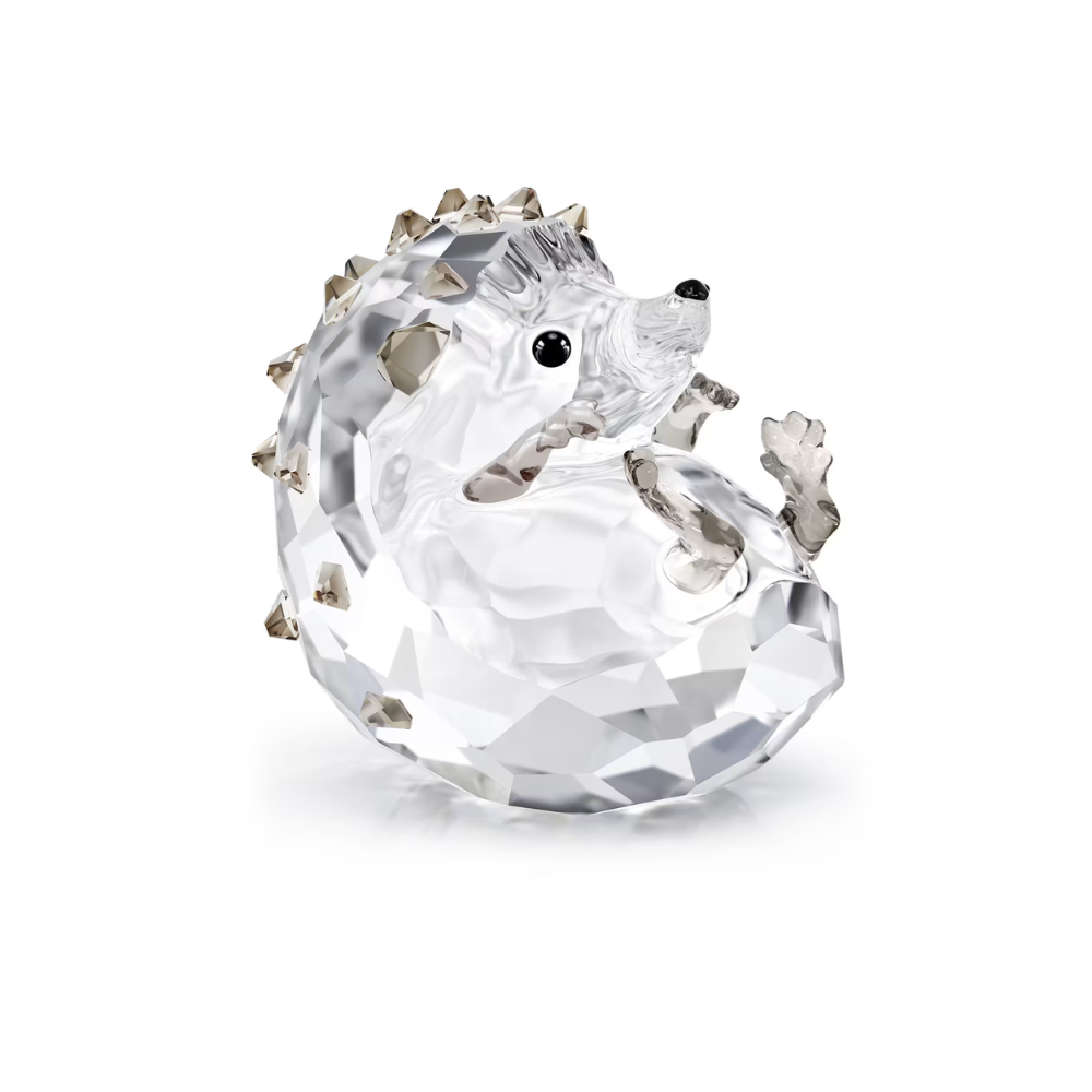 Hedgehog