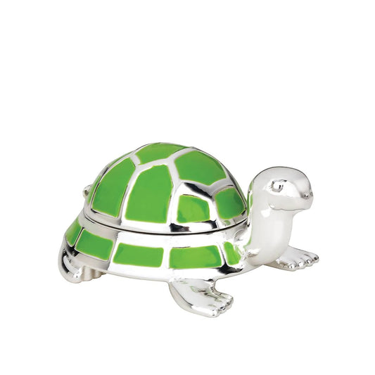 Turtle Tooth Fairy Box