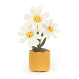Daisy