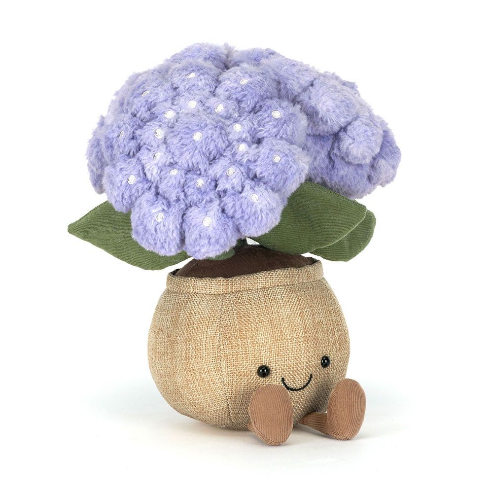 Hydrangea