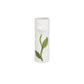White Stem Flower Stem Vase