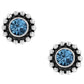 Twinkle Mini Post Earrings