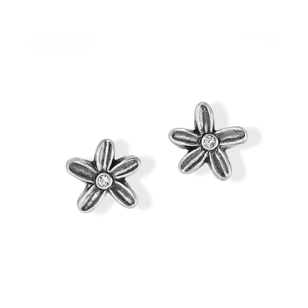 Wild Flowers Post Earrings