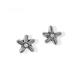 Wild Flowers Post Earrings