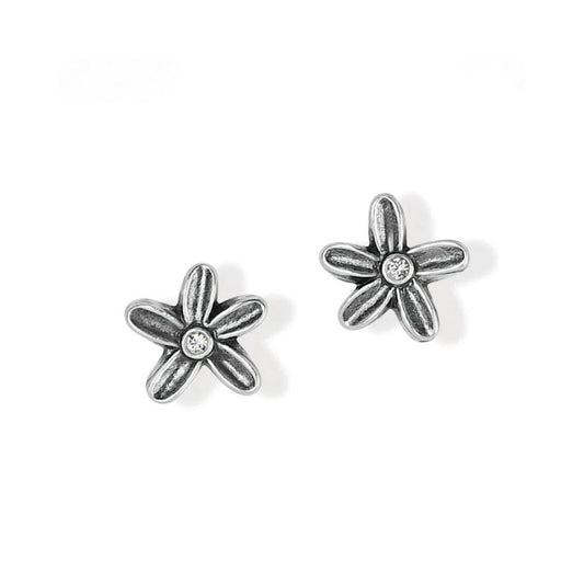 Wild Flowers Post Earrings