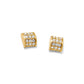 Meridian Gold Tone Post Earrings
