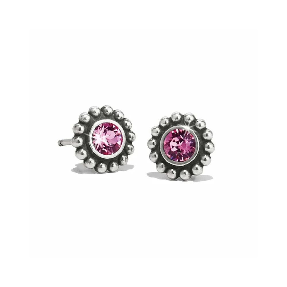 Twinkle Rose Mini Post Earrings