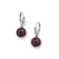 Meridian Aurora Leverback Earrings