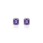 February Birthstone Earrings