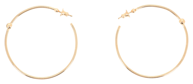 Dna Spring Medium Hoops