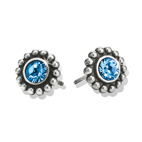 Twinkle Mini Post Earrings