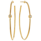 Dna Spring Medium Hoops